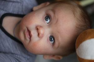 Image-preview_300x200