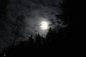 Image-preview_300x200