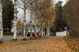 Image-preview_300x200