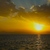 Image-square_50