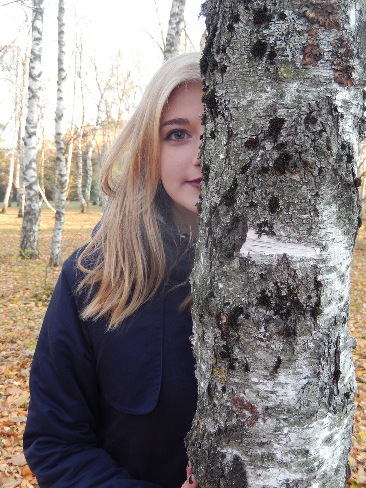 Image-normal