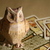 Image-square_50