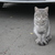 Image-square_50