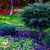 Image-square_50