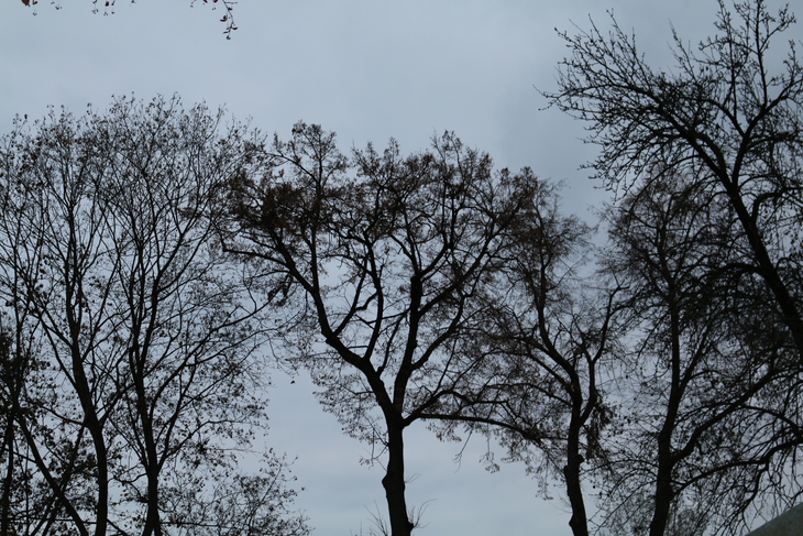 Image-normal