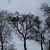 Image-square_50