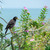 Image-square_50