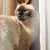 Image-square_50