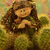 Image-square_50