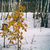 Image-square_50