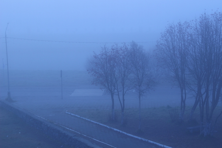 Image-normal