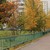 Image-square_50