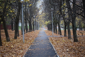 Image-preview_300x200