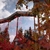 Image-square_50