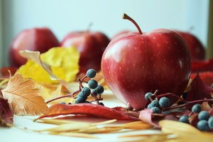 Image-preview_300x200