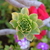 Image-square_50