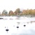 Image-square_50