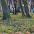 Image-square_50