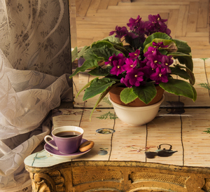 Image-preview_300x200