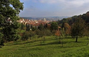 Image-preview_300x200