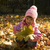Image-square_50