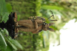 Image-preview_300x200