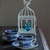 Image-square_50