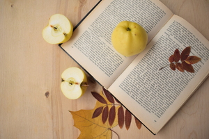 Image-preview_300x200