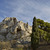 Image-square_50