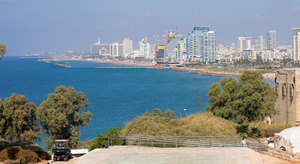 Image-preview_300x200