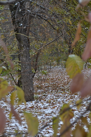 Image-preview_300x200