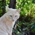 Image-square_50