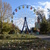 Image-square_50