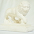Image-square_50