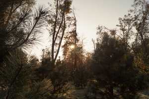 Image-preview_300x200