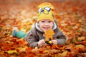Image-preview_300x200
