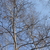 Image-square_50