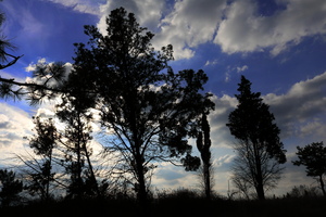 Image-preview_300x200