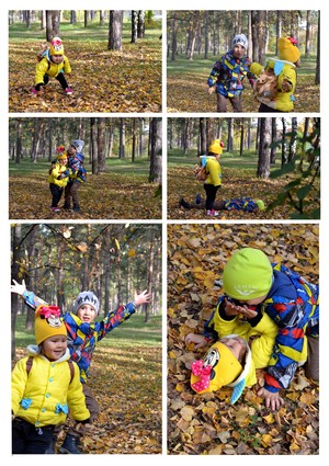 Image-preview_300x200