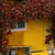 Image-square_50