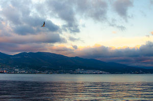 Image-preview_300x200