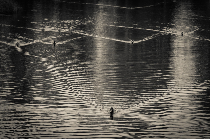Image-normal