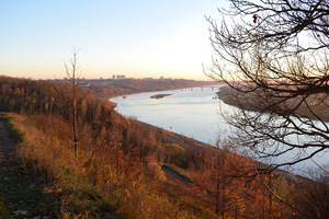 Image-preview_300x200