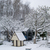 Image-square_50
