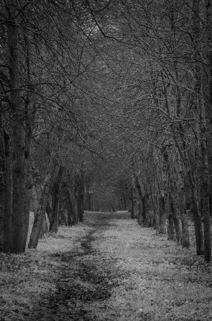Image-normal