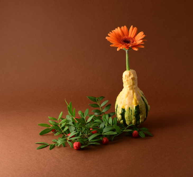 Image-normal