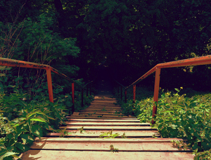 Image-preview_300x200