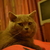 Image-square_50