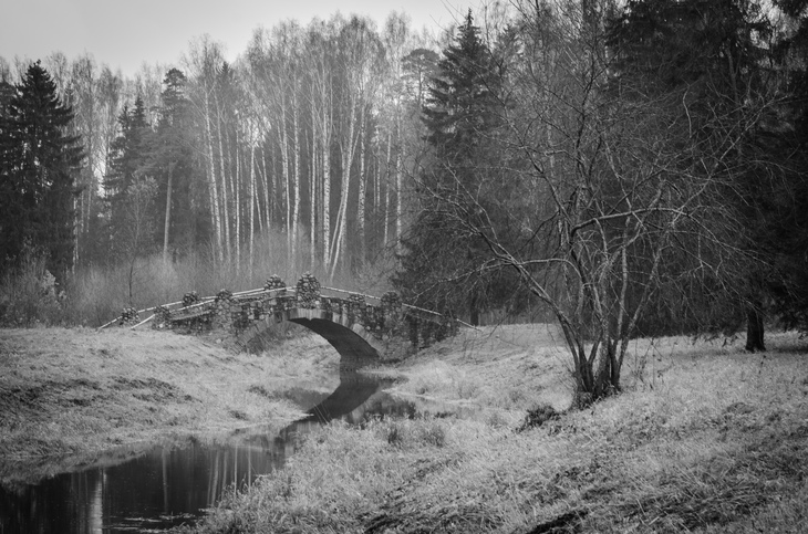 Image-normal