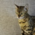 Image-square_50